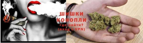 сатива Протвино