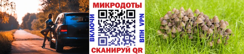 это телеграм что такое Сортавала Псилоцибиновые грибы прущие грибы